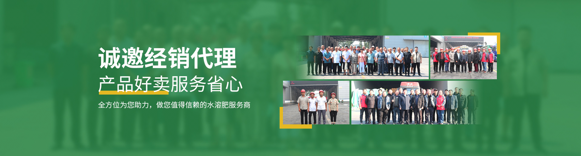 水溶肥料-大宗元素水溶肥-含氨基酸水溶肥料-高塔复合肥-水溶肥生产厂家-台湾宾果28