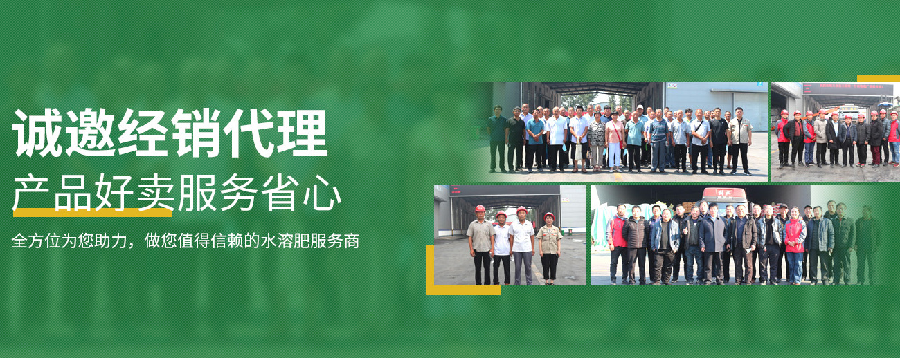 水溶肥料-大宗元素水溶肥-含氨基酸水溶肥料-高塔复合肥-水溶肥生产厂家-台湾宾果28