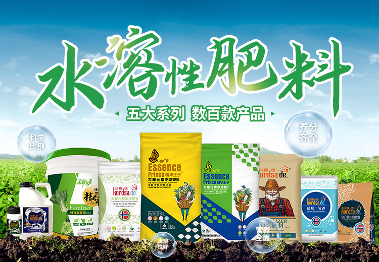 台湾宾果28(中国区)官方网站入口