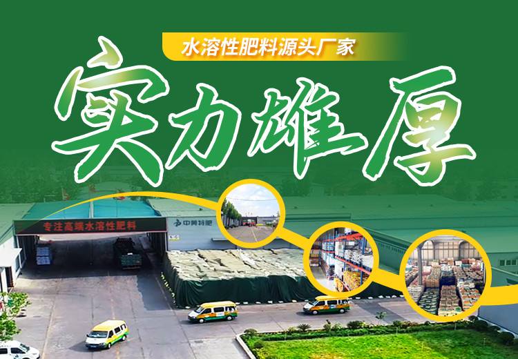 台湾宾果28(中国区)官方网站入口