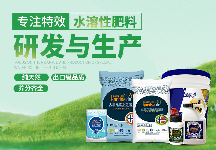 台湾宾果28(中国区)官方网站入口