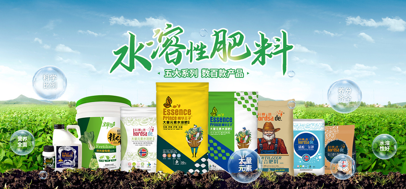 台湾宾果28(中国区)官方网站入口