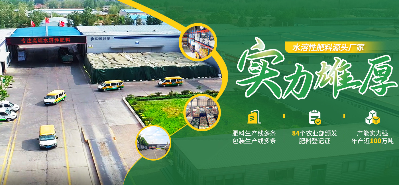 台湾宾果28(中国区)官方网站入口