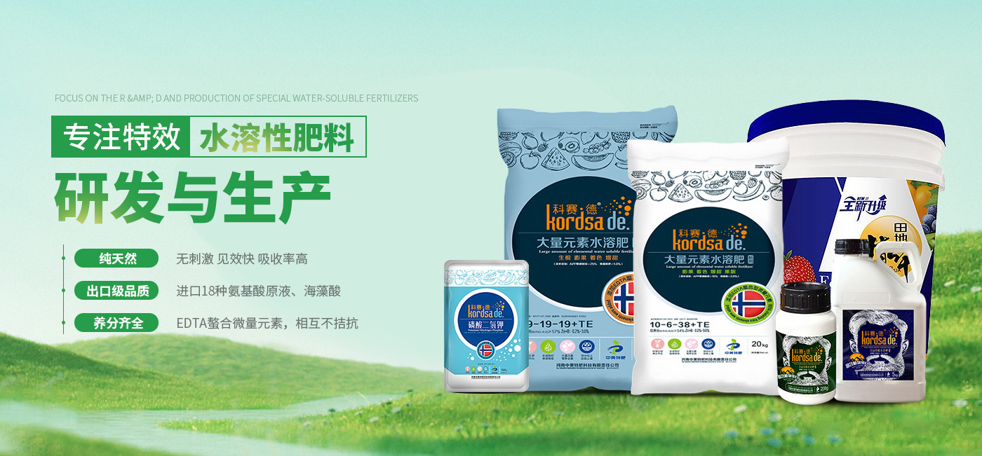 台湾宾果28(中国区)官方网站入口