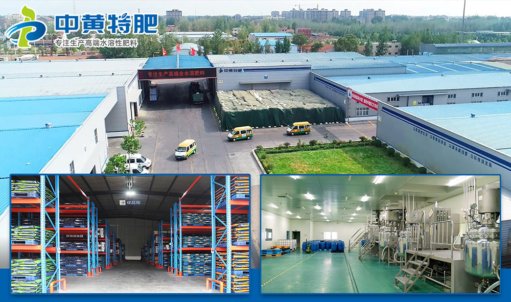 为什么这么多人选择河南台湾宾果28特肥水溶肥厂家?