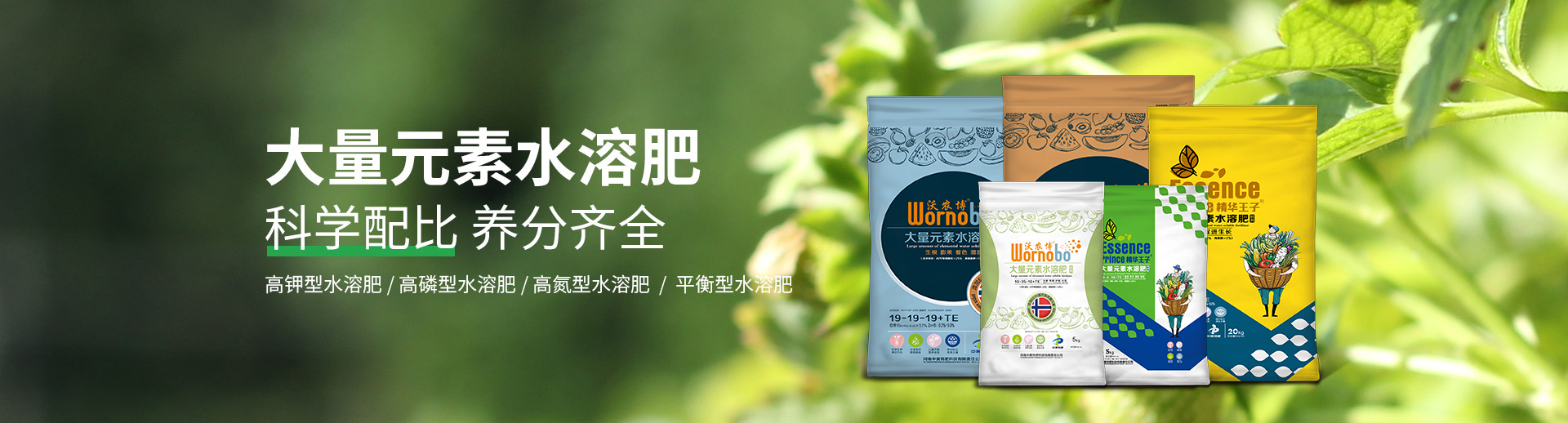 水溶肥料-大宗元素水溶肥-含氨基酸水溶肥料-高塔复合肥-水溶肥生产厂家-台湾宾果28