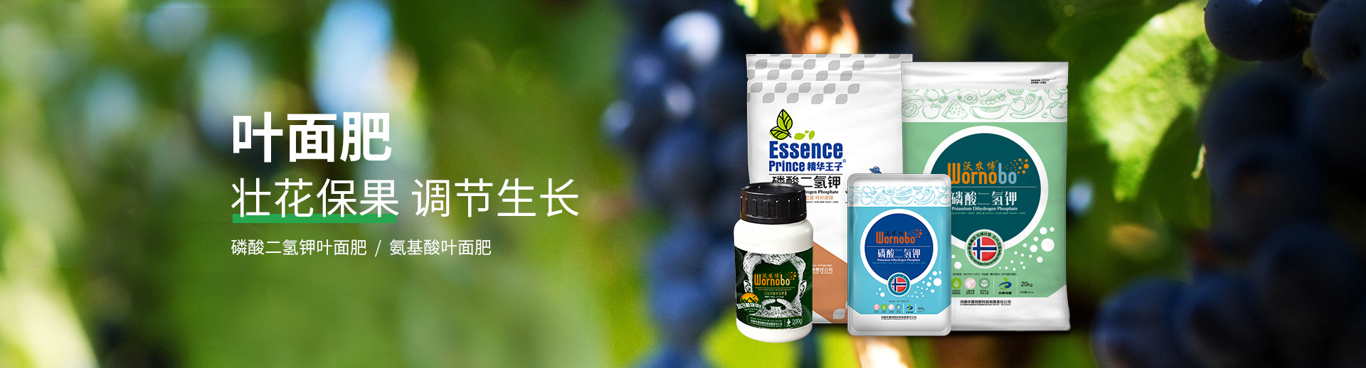 水溶肥料-大宗元素水溶肥-含氨基酸水溶肥料-高塔复合肥-水溶肥生产厂家-台湾宾果28