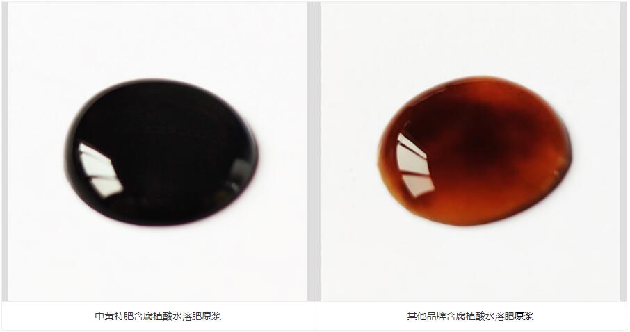 科赛德腐植酸水溶肥平衡型-河南台湾宾果28特肥